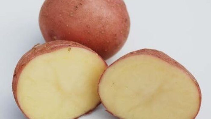 lady-rosetta-potato-1643790991-6183589