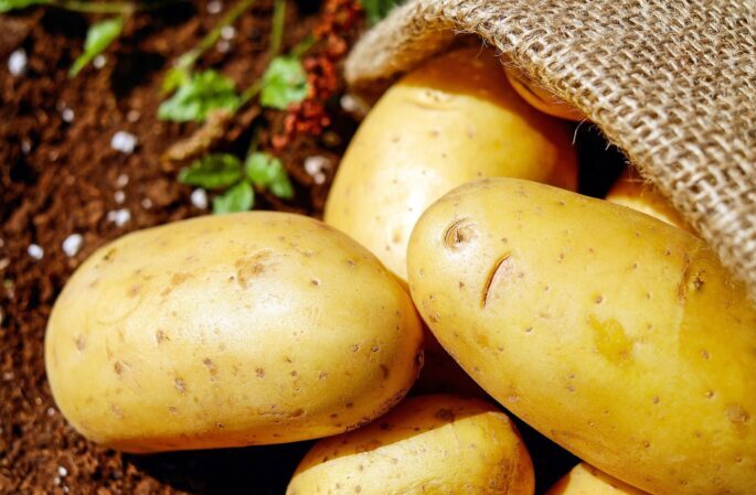 kartoffeln-1
