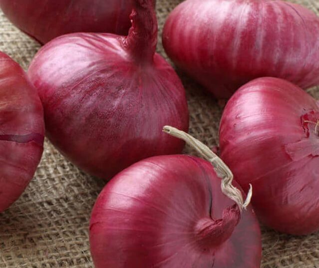 shutterstock_28612930-e1515537001512